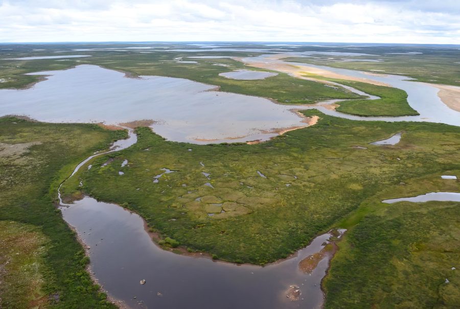 © Benoit Tremblay, MELCCFP