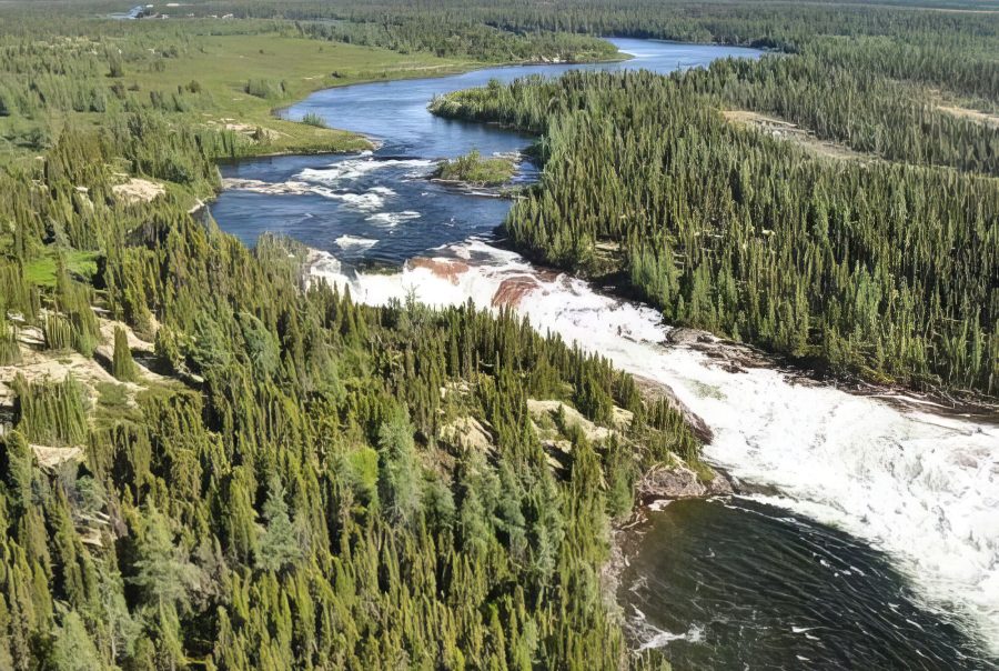 © Benoit Tremblay, MELCCFP