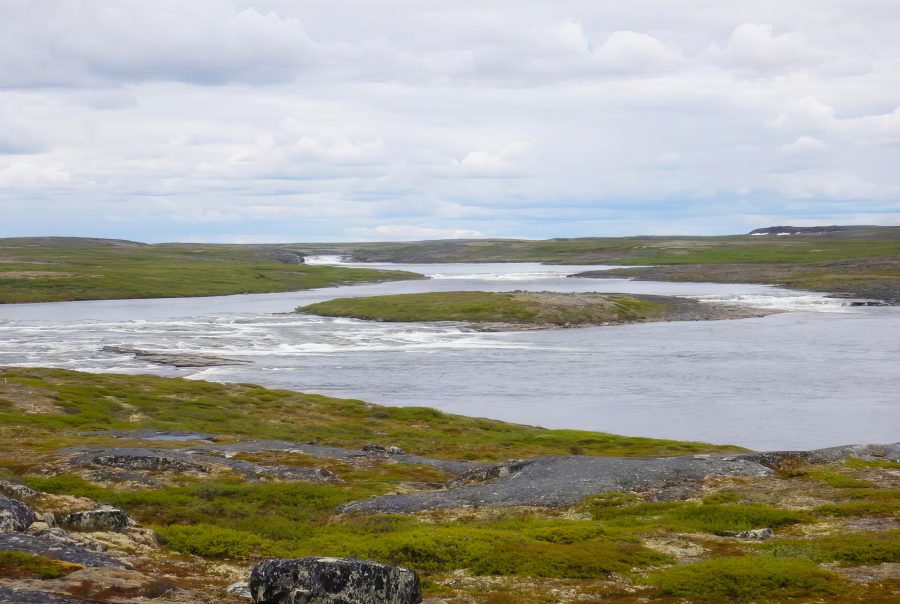 © Marianne Ricard, KRG