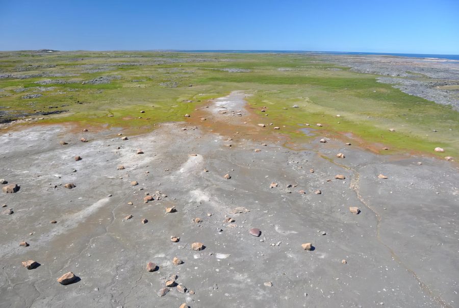 © Benoit Tremblay, MELCCFP