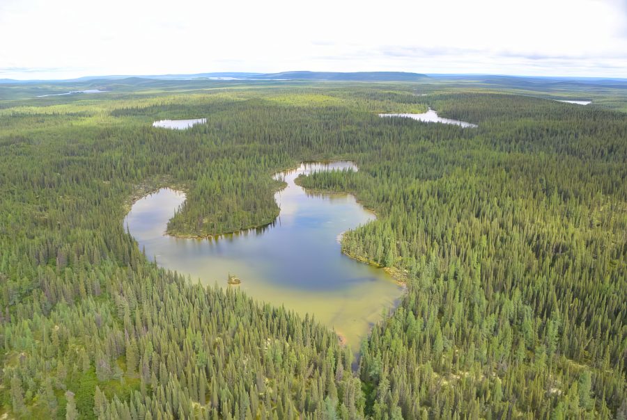 © Marianne Ricard, KRG