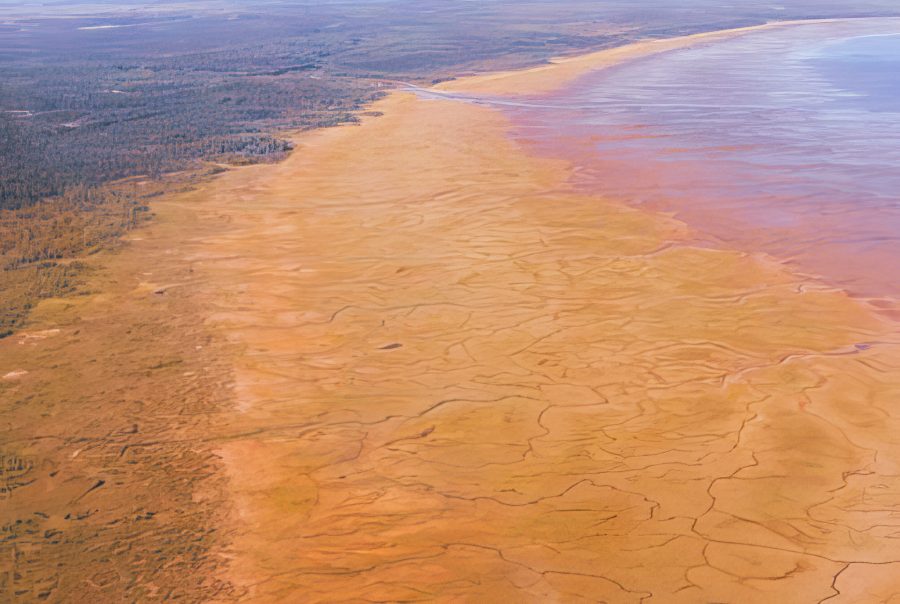 © Benoit Tremblay, MELCCFP