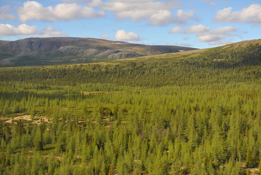 © Frédéric Poisso, MELCCFP