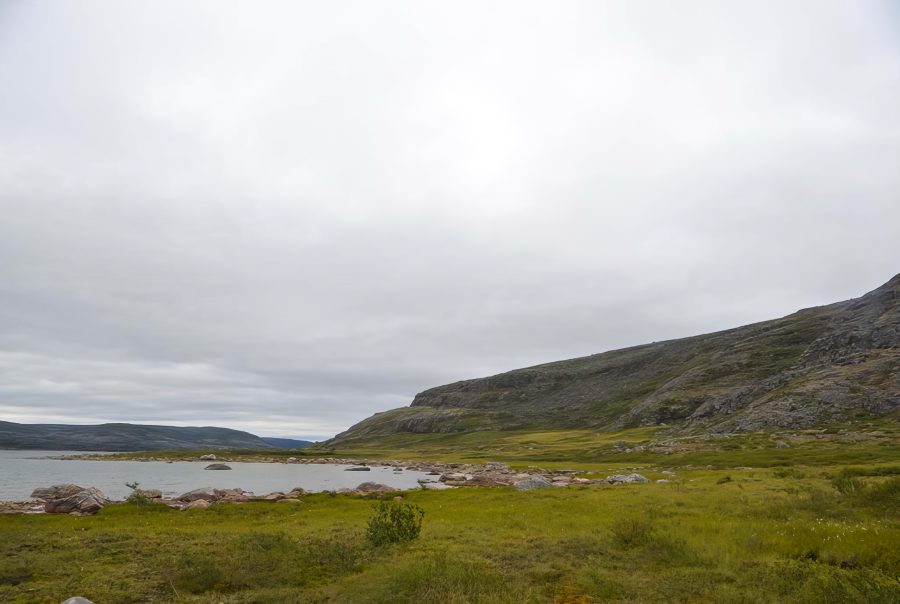 © Marianne Ricard, KRG