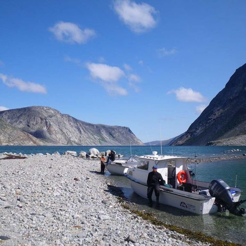 Fjord-Tursukattaq proposed biodiversity reserve (Réserve de biodiversité projetée du Fjord-Tursukattaq) © Catherine Pinard, KRG/ARK