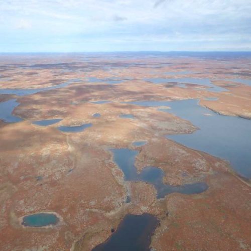 Drumlins-du-Lac-Viennaux Proposed Biodiversity Reserve (Réserve de biodiversité projetée des Drumlins-du-Lac-Viennaux) © Émilie Dalpé-Turcotte, KRG/ARK